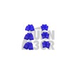 Azul R36 Coil Pack Cubiertas para Golf 4 R32, Golf 5 R32, A3 8P, TT 8J 3.2 FSI