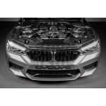Eventuri Tubos de entrada de carbono para BMW M5 F90 / M8 F9x