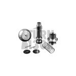 Pomo de cambio DSG Billet Leyo