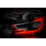 Eventuri conducto de fibra de carbono para Audi RS3 8V.5 Eventuri conducto de fibra de carbono para Audi RS3 8V.5
