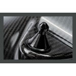 Kit de admisión de fibra de carbono para BMW M3 F80 / M4 F8x S55 AMS Performance