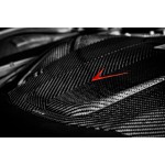 Eventuri Sistema de Admisión de Fibra de Carbono para Mercedes AMG GT / GTS / GTC / GTR