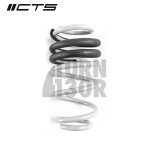 CTS Turbo -50mm Muelles Deportivos para Audi A4 y S4 B8 CTS Turbo -50mm Muelles Deportivos para Audi A4 y S4 B8