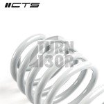 CTS Turbo -50mm Muelles Deportivos para Audi A4 y S4 B8 CTS Turbo -50mm Muelles Deportivos para Audi A4 y S4 B8