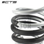 CTS Turbo -50mm Muelles Deportivos para Audi A4 y S4 B8 CTS Turbo -50mm Muelles Deportivos para Audi A4 y S4 B8