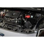 Forge Motorsport Admisión Ford Fiesta ST MK8