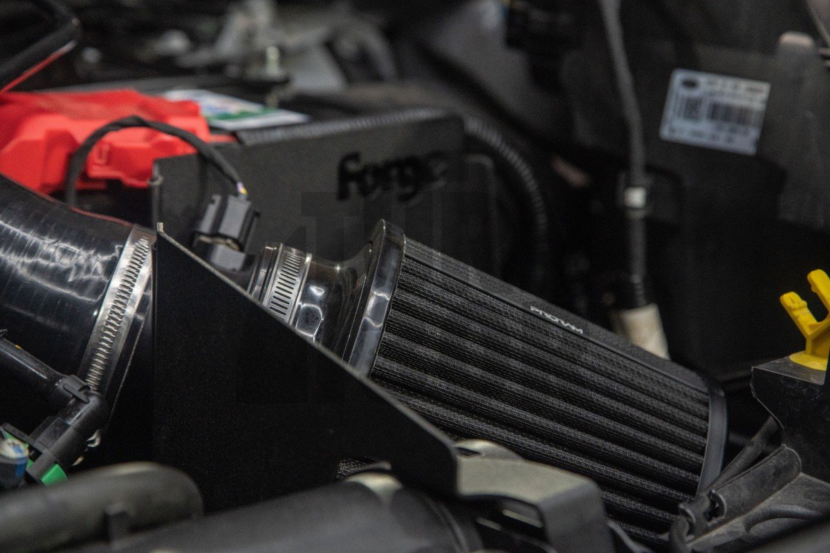 Forge Motorsport Admisión Ford Fiesta ST MK8
