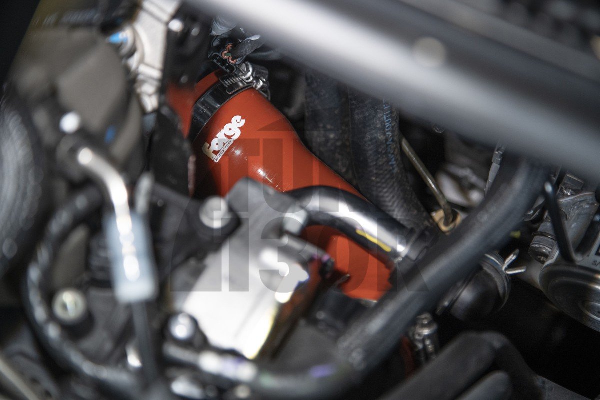 Forge Motorsport Turbo Silenciador Suprimir Hyundai I20 N