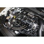 CTS Turbo Oil Catch Can Golf 7 GTI / R / Leon 3 Cupra / S3 8V