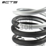 CTS Turbo -50mm Muelles Deportivos para Audi A4 y S4 B8