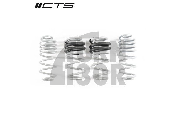 CTS Turbo -50mm Muelles Deportivos para Audi A4 y S4 B8