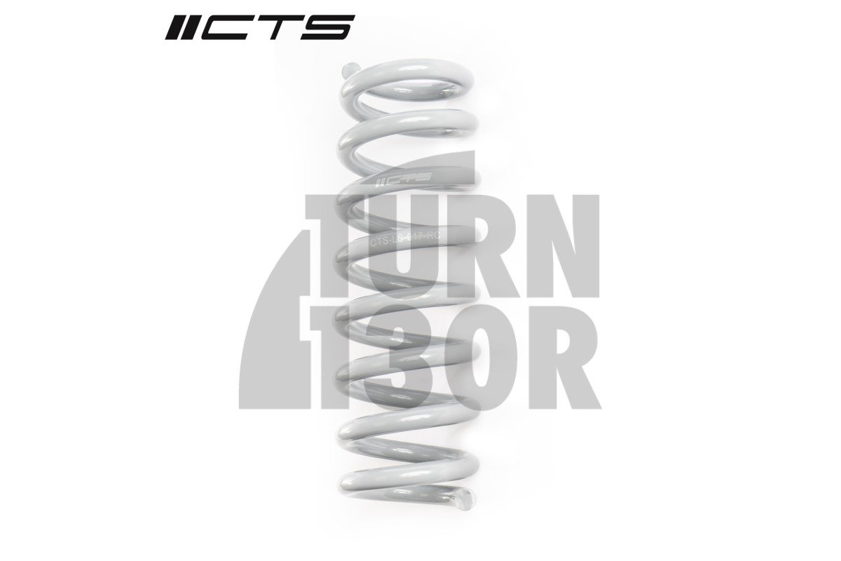 CTS Turbo -40mm Muelles Deportivos para BMW 335i, 340i, 435i, y 440i F3x xDrive