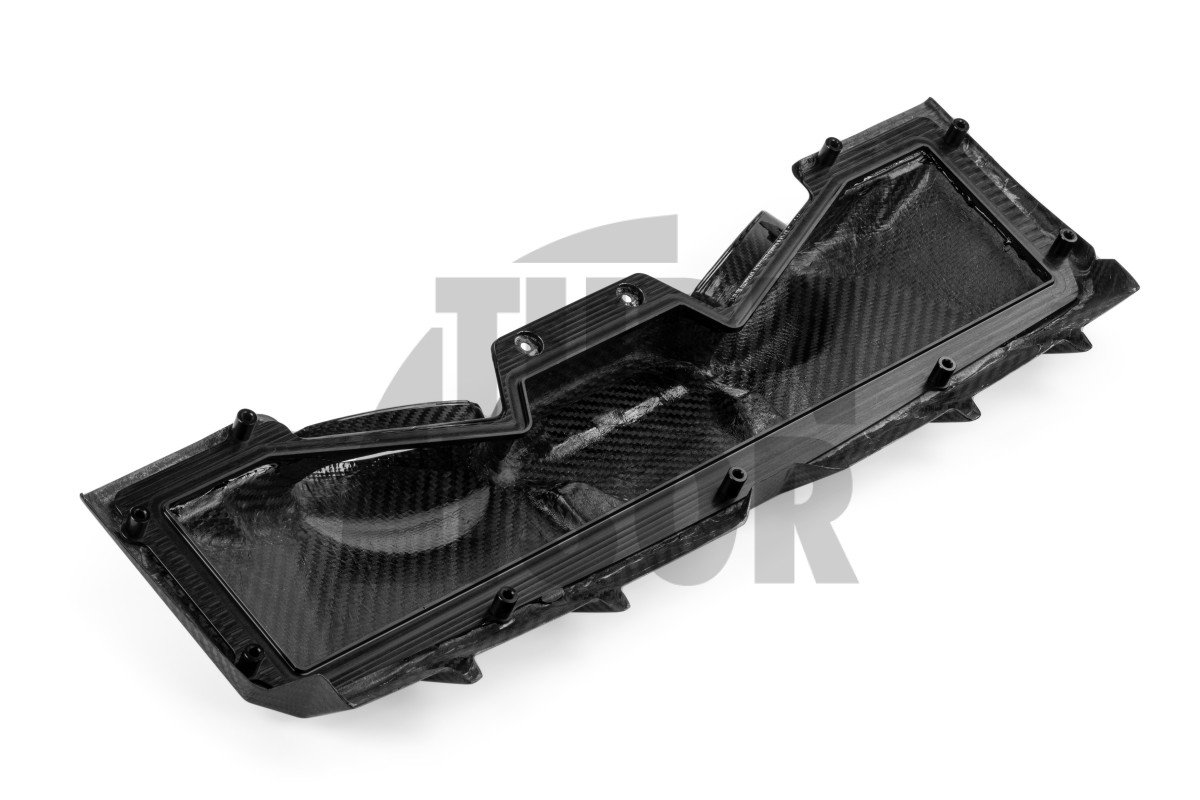 Admisión de carbono para Audi RS6 C8 y RS7 C8 APR