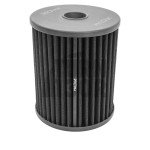 Filtro de aire Ramair Panel para Audi RS6 C7 y RS7 C7