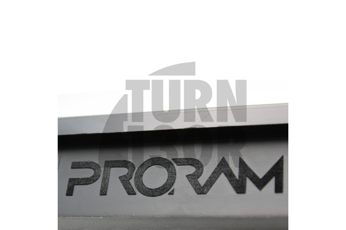 Filtro de aire Ramair Program Panel para LeBMW 140i, 240i, 340i y 440i