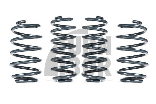 Racingline -25mm Muelles Deportivos UP GTI