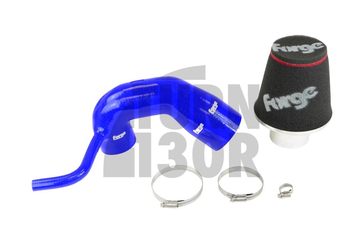 SEAT Ibiza / Skoda Fabia / VW Polo 1.2TSI-1.4GT 2015- Admisión Forge Motorsport