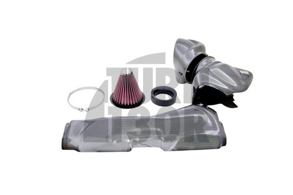 Sistema de admisión de fibra de carbono Gruppe M para Audi TT RS 8S