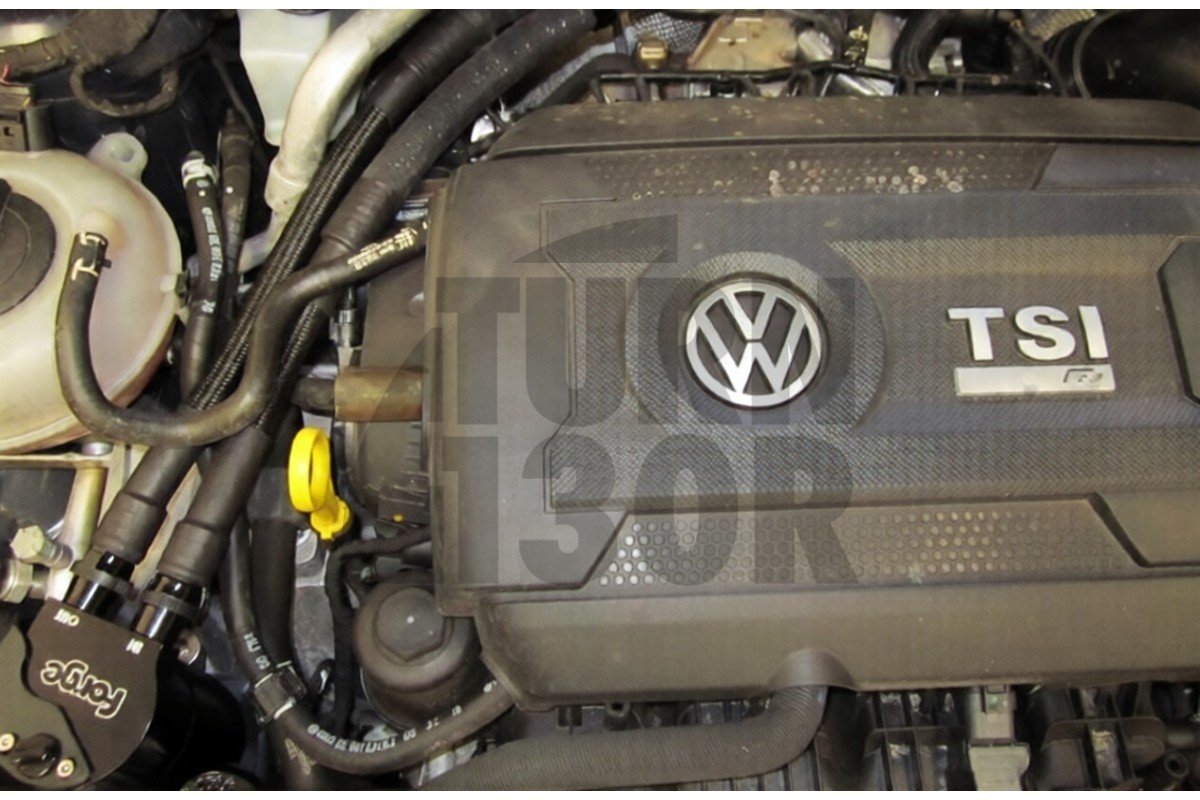 Depósito de aceite Forge para Audi S3 8V y Audi TT Mk3