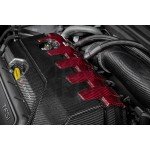 Eventuri Fibra de Carbono / Rojo Kevlar Cubierta del motor para Audi RS3 8V.5 / TTRS 8S y RS3 8Y