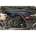 MST Performance Admisión Ford Focus ST MK4