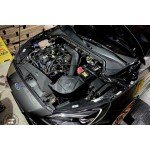 MST Performance Admisión Ford Focus ST MK4