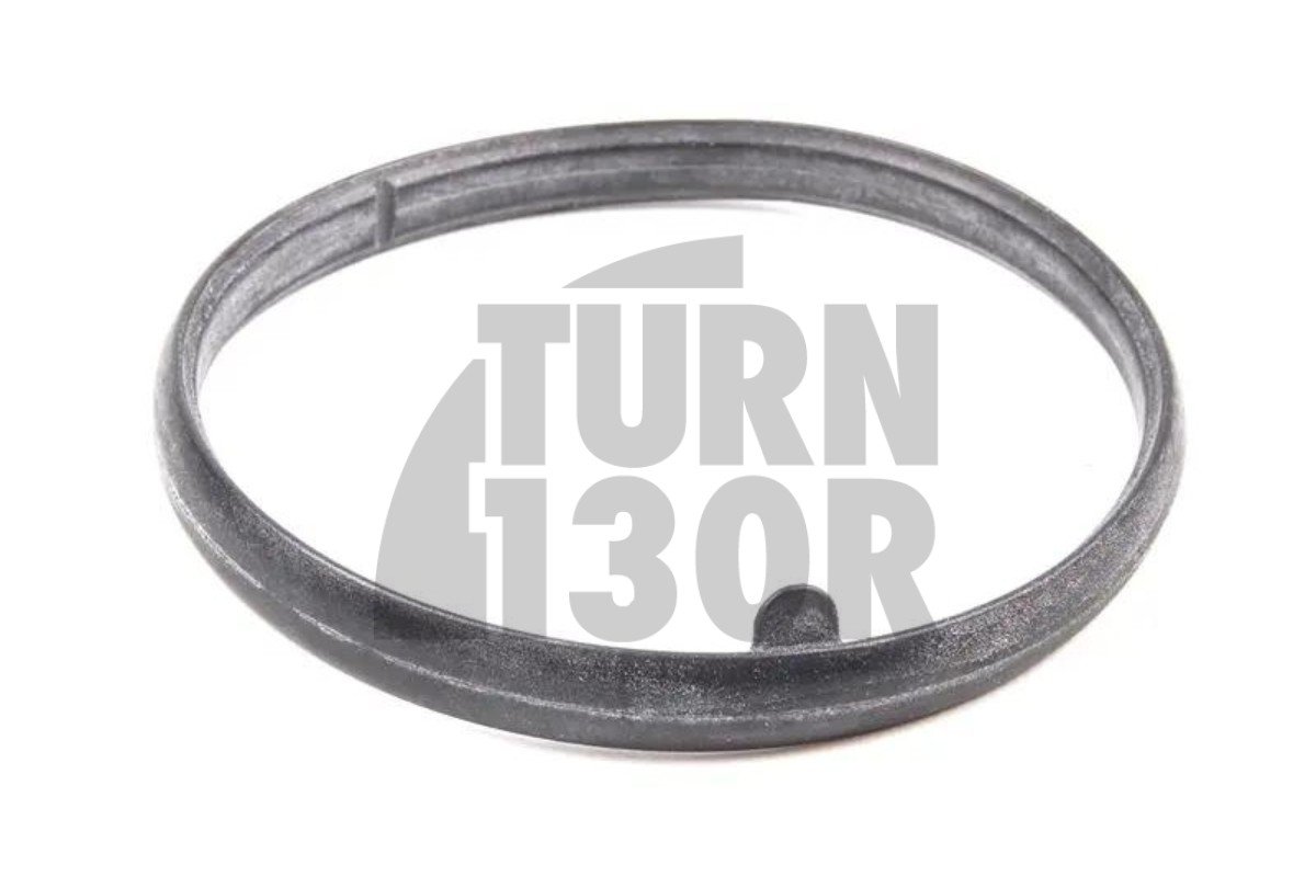 Filtro de aceite para Audi RS3 (8P / 8V) y TTRS (8J / 8S) 2.5 TFSI