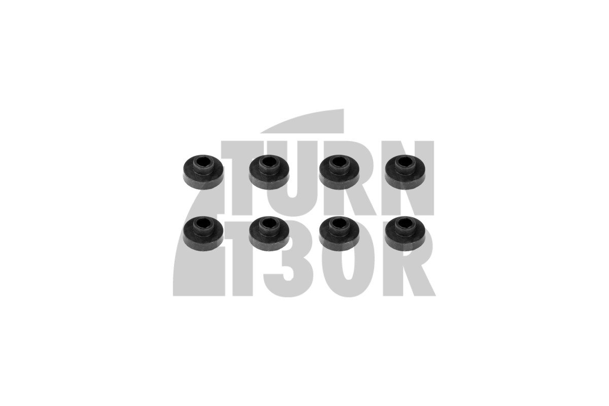 Estribos de regulación de altura Racingline Audi RS6 C8 / RS7 C8 / Urus / RSQ8