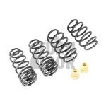 Resortes Racingline Sport Golf 5 GTI / Golf 6 GTI / Leon 2 Cupra 