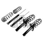 Kit de muelles y amortiguadores Racingline Golf 5 GTI / Golf 6 GTI / Leon 2 Cupra 