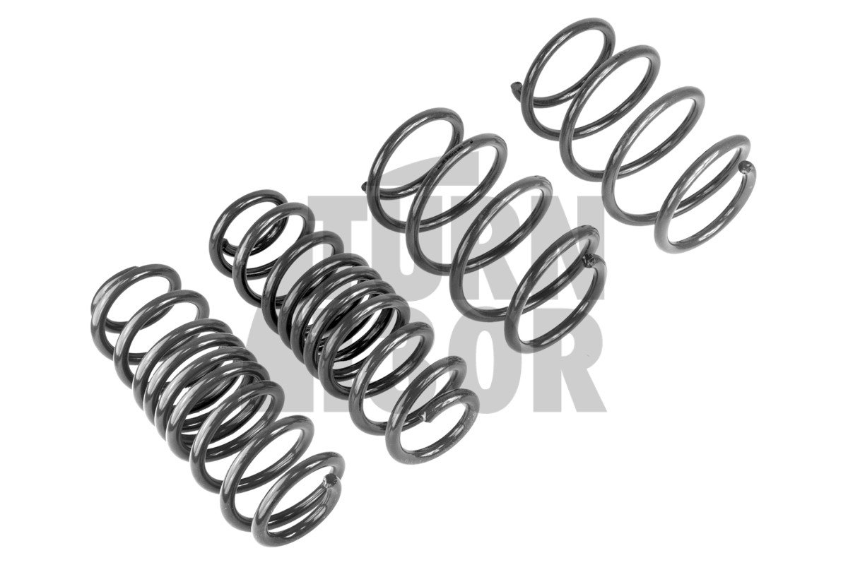 Resortes Racingline Sport Golf 7 R SW / Leon 3 Cupra ST / Octavia VRS SW 