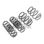 Resortes Racingline Sport Golf 7 R SW / Leon 3 Cupra ST / Octavia VRS SW 