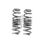 Resortes Racingline Sport Golf 7 R SW / Leon 3 Cupra ST / Octavia VRS SW 