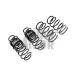 Racingline -30mm Muelles Deportivos Polo AW GTI 