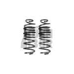 Racingline -30mm Muelles Deportivos Polo AW GTI 
