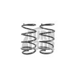 Racingline -30mm Muelles Deportivos Polo AW GTI 