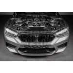 Eventuri Tubos de entrada de carbono para BMW M5 F90 / M8 F9x