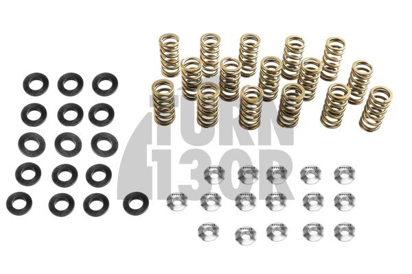 Audi S3 8P / Golf 5 GTI / Golf 6 R / Leon 2 Cupra 2.0 TFSI EA113 Kit de muelles de válvula y retenedores Ferrea