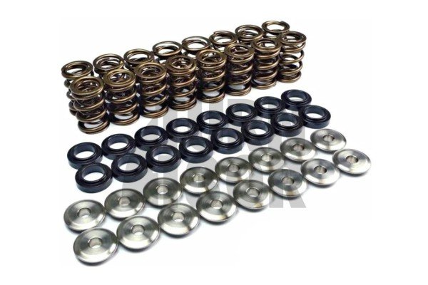 Golf 6 GTI / Scirocco / Leon 2 FR 2.0 TSI EA888.1 Kit de muelles de válvula y retenedores Ferrea