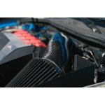 Kit Inducción Carbono Forge Motorsport Audi RS3 8V / RS3 8Y