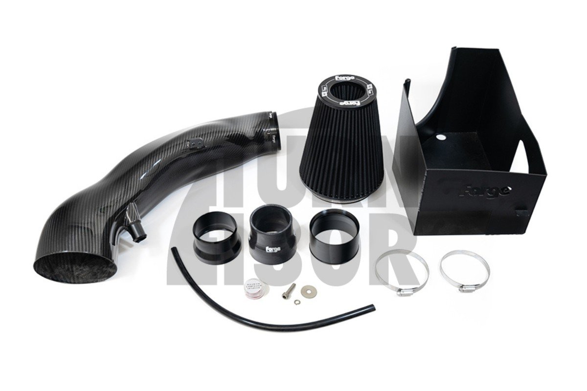 Kit Inducción Carbono Forge Motorsport Audi RS3 8V / RS3 8Y