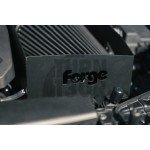 Kit Inducción Carbono Forge Motorsport Audi RS3 8V / RS3 8Y