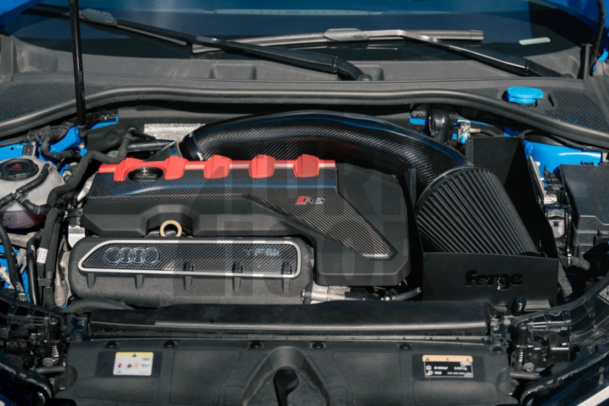 Kit Inducción Carbono Forge Motorsport Audi RS3 8V / RS3 8Y