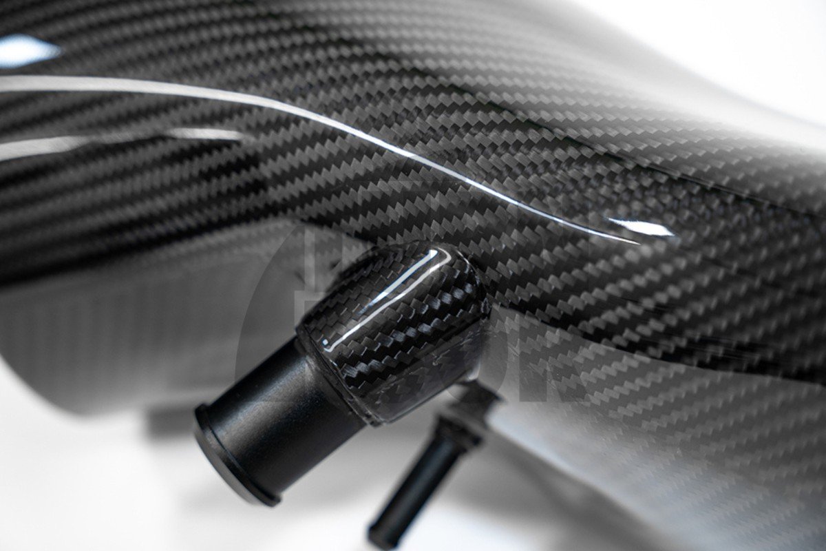 Kit Inducción Carbono Forge Motorsport Audi RS3 8V / RS3 8Y