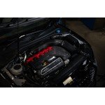 Kit Inducción Carbono Forge Motorsport Audi RS3 8V / RS3 8Y