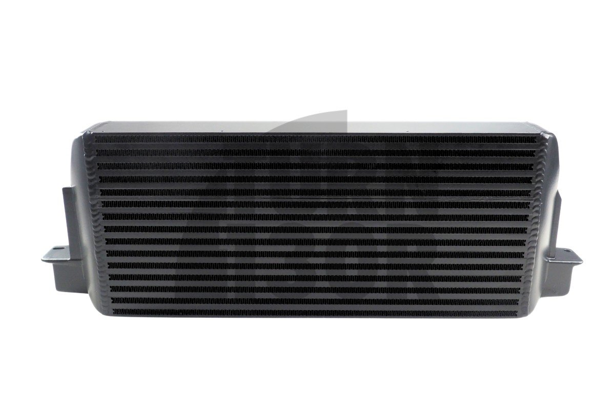 BMW 135i / 1M E82 y 335i E9x N54 Do88 Intercooler