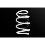 Golf 7 R Leyo Sport Muelles
