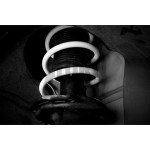 Golf 7 R Leyo Sport Muelles