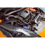 Airtec Oil Catch Can for Ford Fiesta ST Mk8 