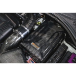 Armaspeed Tapa Batería Fibra Carbono S3 8V / Golf 7 GTI / Golf 7 R / Leon 3 Cupra / Octavia 5E VRS
